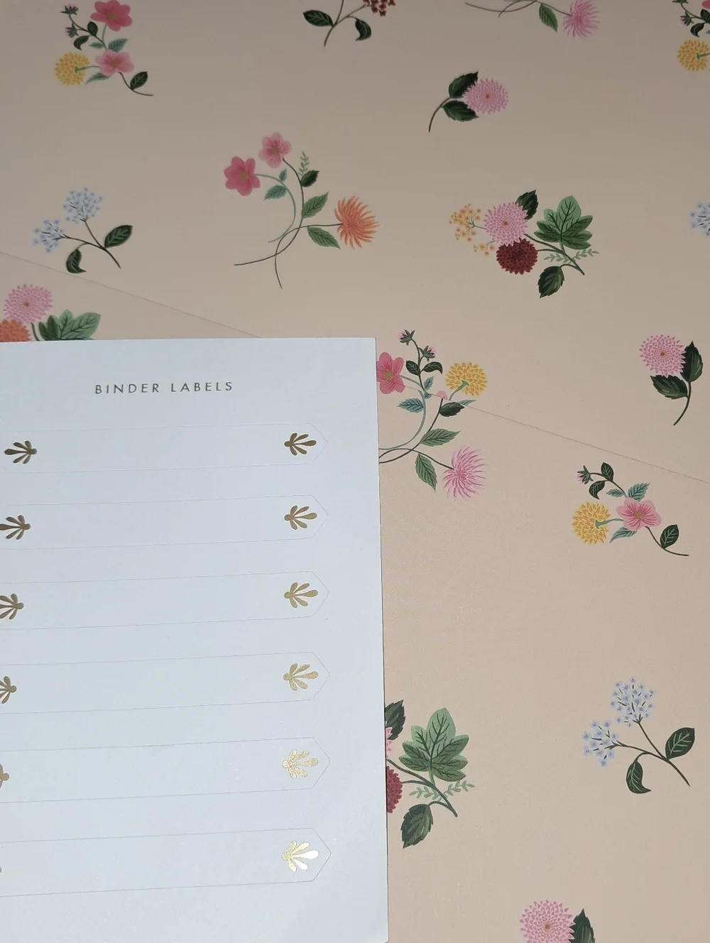 Rifle Paper Co NWT Classic 3-Ring Binder In Dahlia Floral Divider Folder